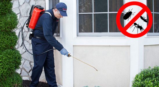 Divriği Tahtakurusu İlaçlama böcek ilaçlama ve haşere kontrolü — ilaclama-tr.com